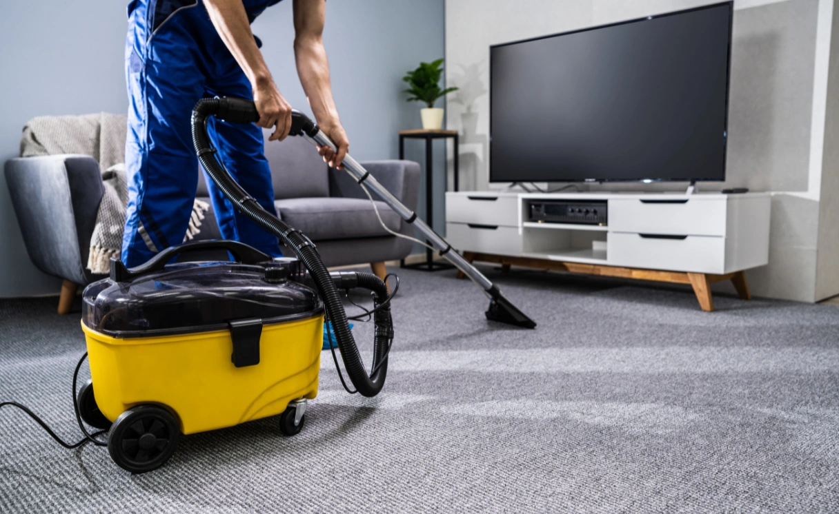 Extract Carpet Cleaning Newcomb Contact Office